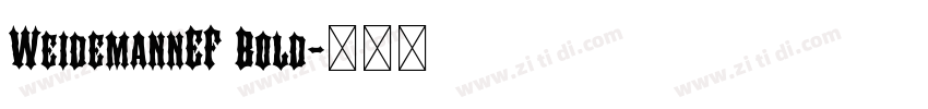 WeidemannEF Bold字体转换